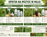 Na drzewa owocowe, w kategorii chemiczne, znajdziesz Calypso 480 SC, środek skuteczny na mszyce.