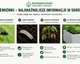 Dorosła ziemiórka to mała, czarna muszka, a jej larwa, która wygląda jak przezroczysty robak z czarną głową, niszczy korzenie roślin.