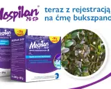 Mospilan na ćmę bukszpanową. Skuteczna ochrona roślin przed szkodnikami. Opakowania z produktem Mospilan 20 SP.