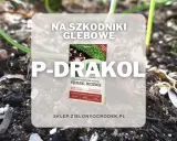 P-DRAKOL na szkodniki glebowe, jak pędraki i nicienie. Preparat mikrobiologiczny do trawników i upraw ekologicznych.