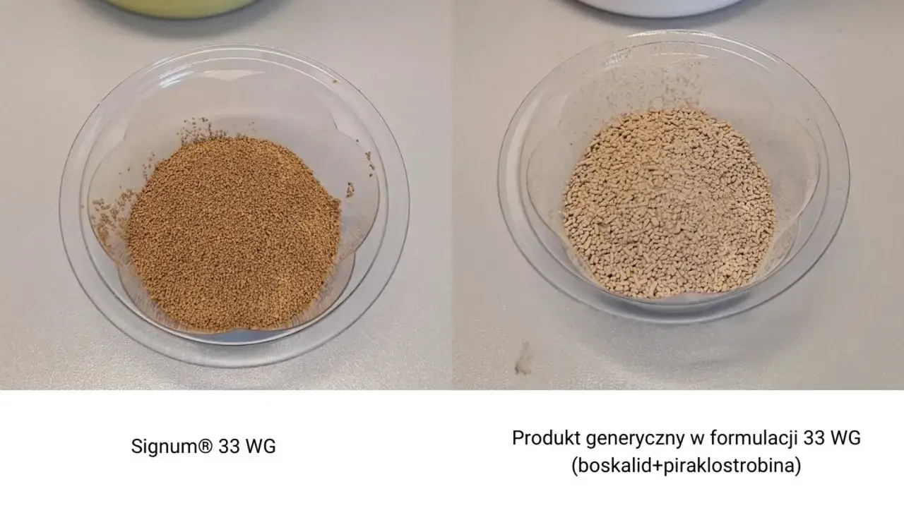 Dwa naczynia z granulatem: po lewej Signum® 33 WG, po prawej produkt generyczny.
