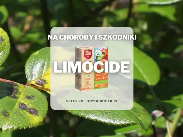 Ratunek dla roślin! Limocide zwalcza choroby i szkodniki, przywracając im zdrowy wygląd.